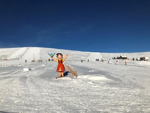 Skipiste Heidialm
