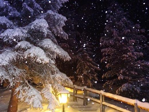 Nächtlicher Schneefall