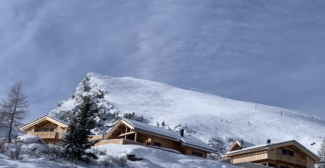 Carinthia Chalets Winter