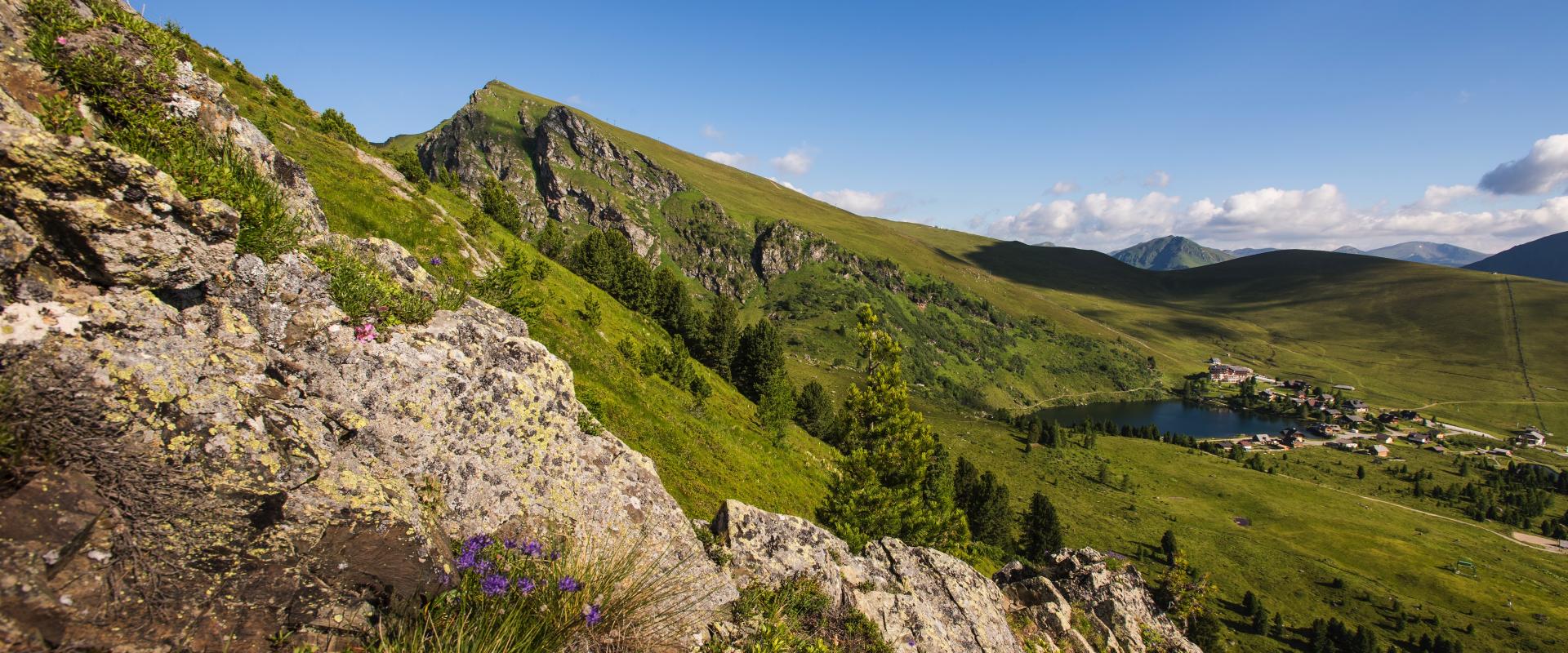 109-16__FALKERT__4739-best 109-16__FALKERT__4739-best