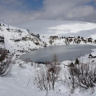 Zugefrorener Falkertsee - Bild 35