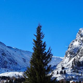 Bogi Alm (3) Bogi Alm (3)