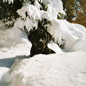 Familien-Urlaub - Bild 12 Familien-Urlaub - Bild 12