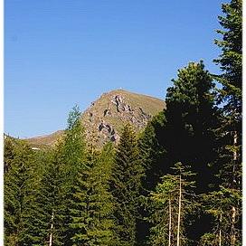 Falkertspitz Sommer - Bild 20