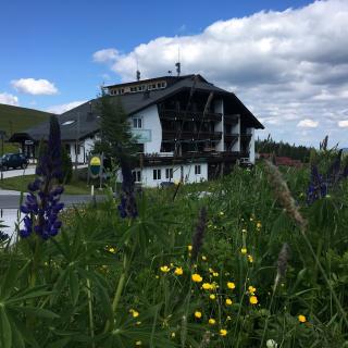 Hotel Schneekönig - Bild 7