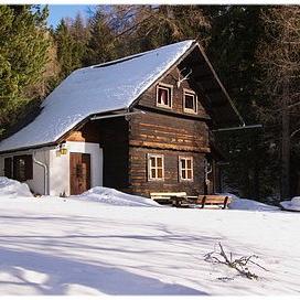 Beim Almöhi im Winter - Bild 21