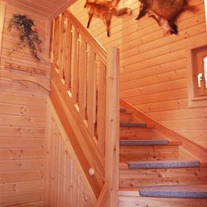 Treppenhaus - Bild 6 Treppenhaus - Bild 6