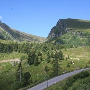 Aussicht vom Balkon - Bild 12