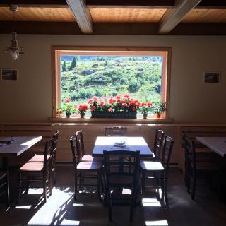 Sonnenschein - Bild 10