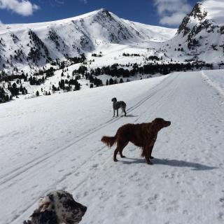 Haus Ruperti - Bild 10