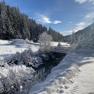 IMG_1523 Wanderweg am Falkert