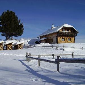 Winteraufnahme - Bild 1