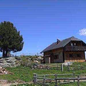 Sommeraufnahme - Bild 2