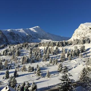 Wintermärchen - Bild 38