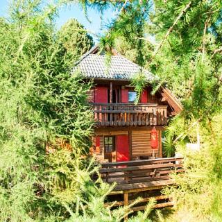 Eingebettet in mitten von Zirben und Lärchen - Bild 1