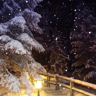 Nächtlicher Schneefall - Bild 32