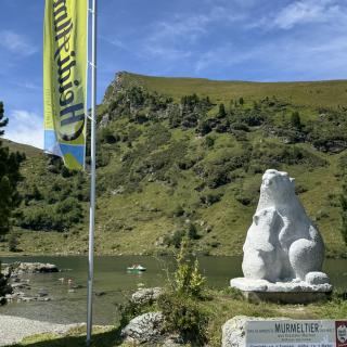 IMG_1521 Murmeltier am Falkertsee IMG_1521 Murmeltier am Falkertsee