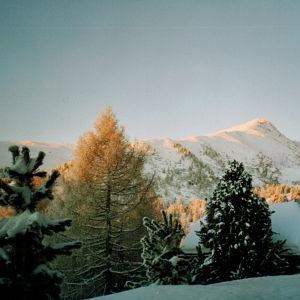 Blick  am frühen Morgen - Bild 9