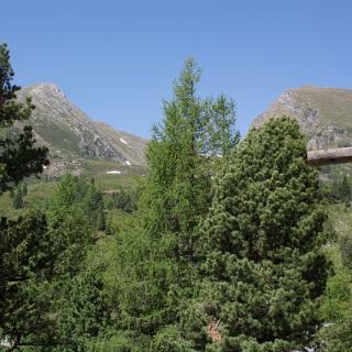 Ferienwohnung WIPFELSTUB&acute;N - Bild 15