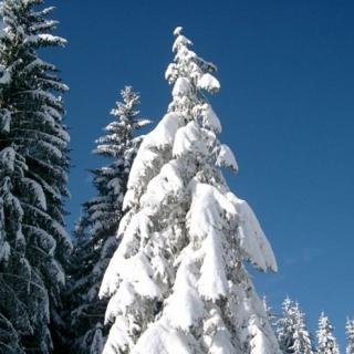 Wintertraum - Bild 39