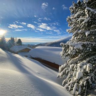Heidi-Chalet-Falkert-Heidialm-Bergwinter-Winter-Traum-Baum-Zirbe