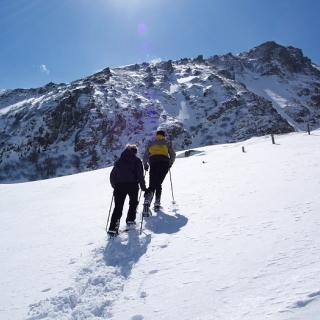 Schneeschuhwandern und Skitouren - Bild 14 Schneeschuhwandern und Skitouren - Bild 14