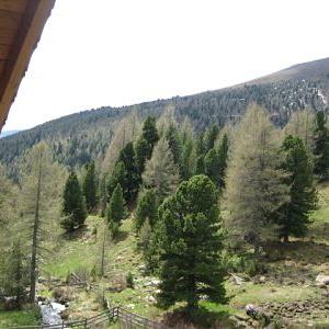 Panoramablick vom Balkon - Bild 12