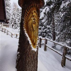 Schnitzobjekt im Winter - Bild 24