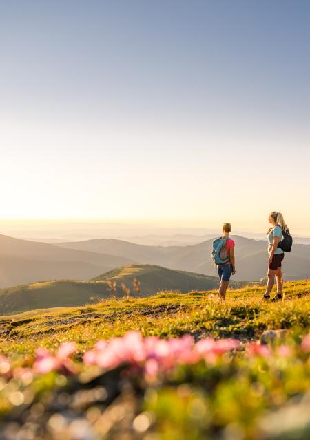 Wandern_Nockberge-Trail_Falkert_Nockberge_Sommer © Michael Stabentheiner_Kärnten Werbung, MBN Tourismus(2)