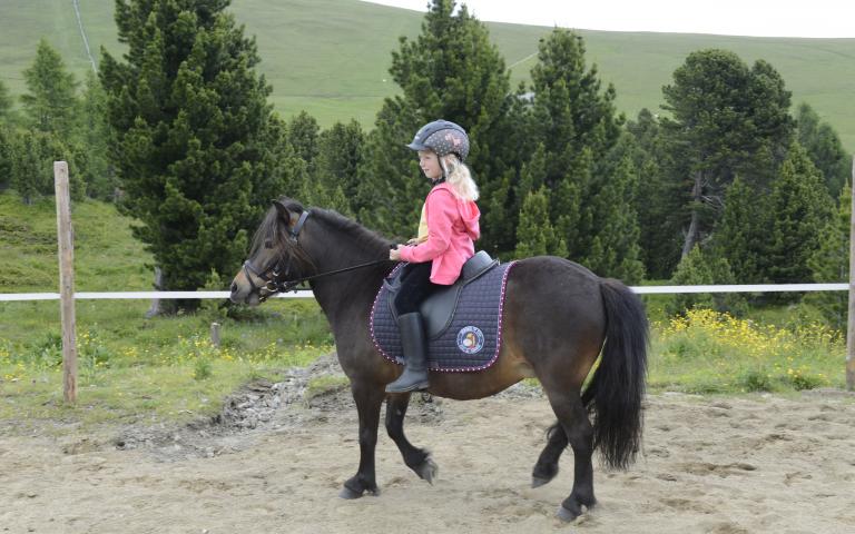 _DSC7849-best _DSC7849-best