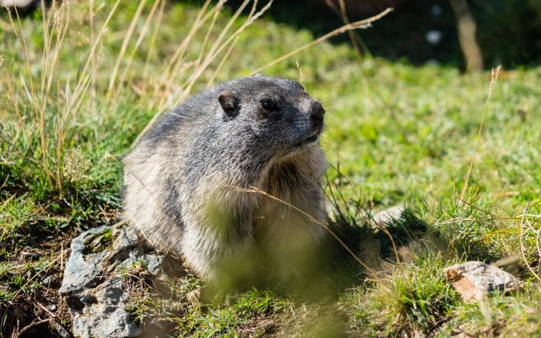 Heidi Hotel Falkertsee 2018 (c) Carolin Thiersch-32 Heidi Hotel Falkertsee 2018 (c) Carolin Thiersch-32